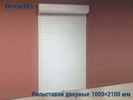 Рольставни на двери 1000×2100 мм в Грозном от 22233 руб.