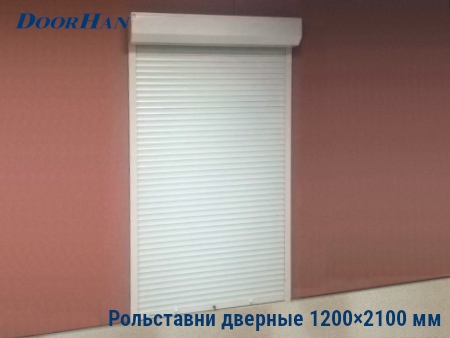 Рольставни на двери 1200×2100 мм в Грозном от 24490 руб.