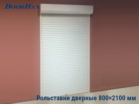 Рольставни на двери 800×2100 мм в Грозном от 19976 руб.